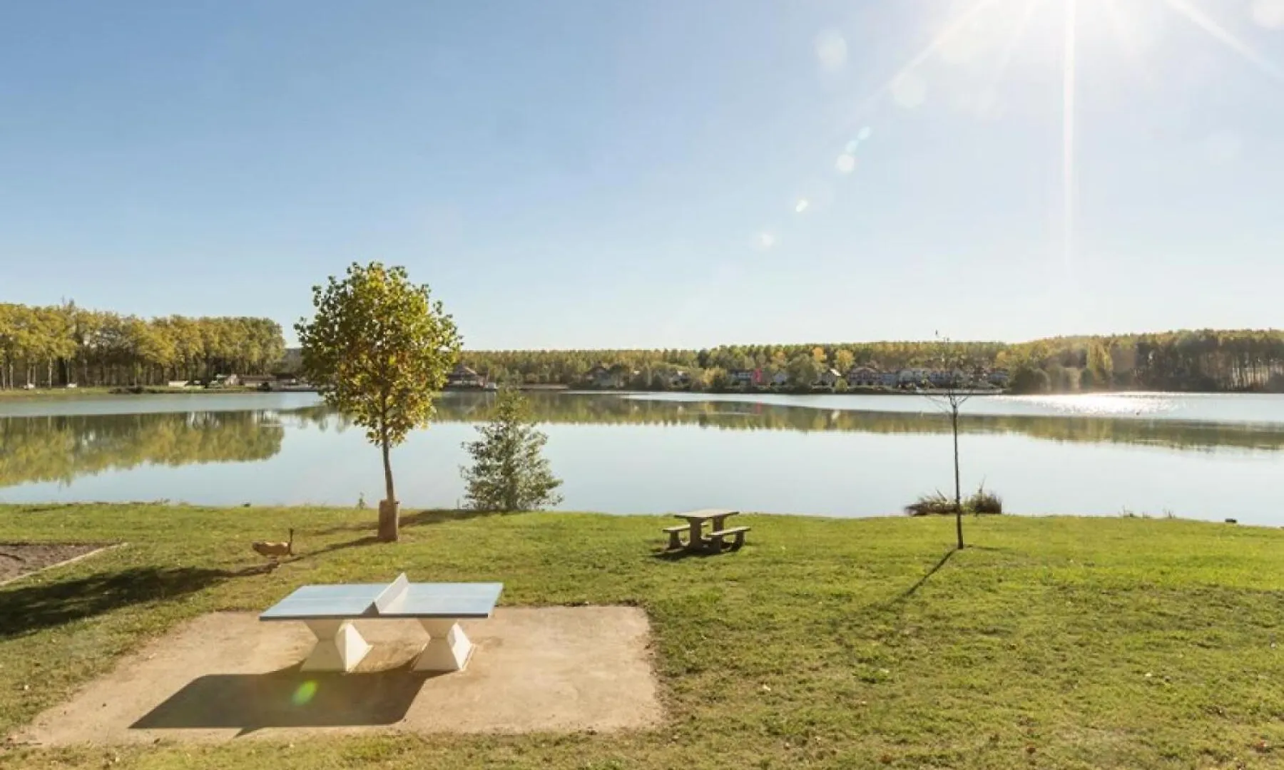 شقة Residence Le Hameau Du Lac - Maeva Home - Appartement 2 Pieces 4 Personnes - Budget Mae-2695 ماركياس